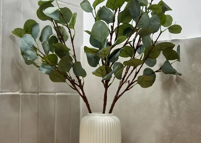 By R S 4* Нэводари